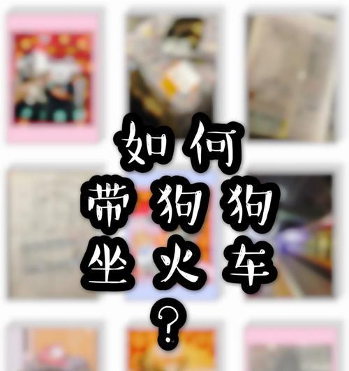 狗狗乘坐大巴的注意事项（宠物出行必备知识，让狗狗坐大巴安全又舒适）