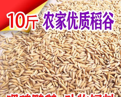 仓鼠的饲料选择（了解仓鼠的饮食需求，鸡饲料或成为理想之选）