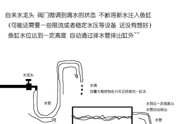 水族箱换水的最佳时间（科学养鱼，合适的换水时间是关键）