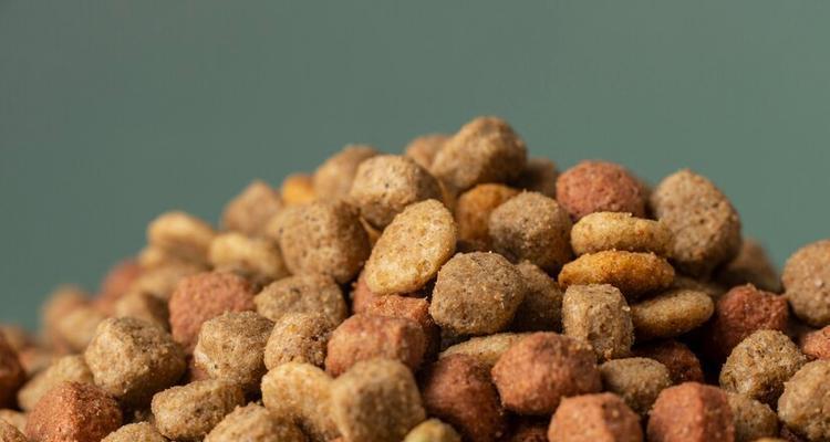 狗粮选择（让你的爱犬吃得香喷喷的小诀窍）