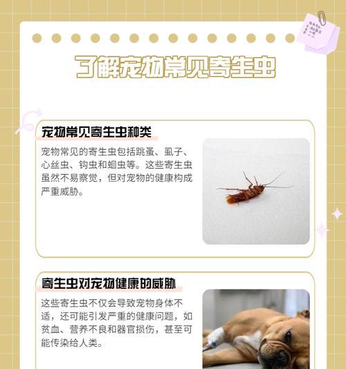 小狗丝虫感染与药物治疗（选择适合小狗的药物进行丝虫治疗的关键）