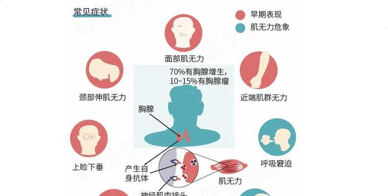 狗狗肌无力（了解肌无力对狗狗健康的影响）