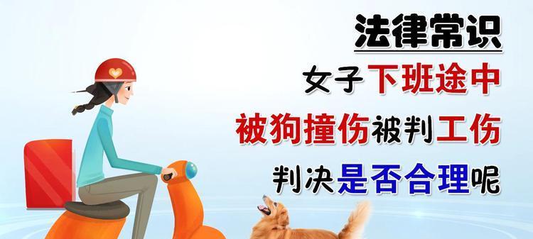 狗被撞伤的急救方法（以何种药物治疗狗被撞伤的最佳选择）
