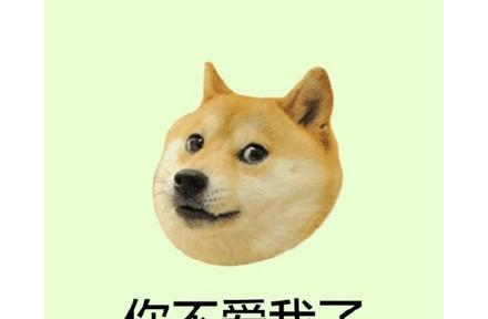 揭秘狗狗不喜欢我的原因（为什么狗狗对我冷淡？）