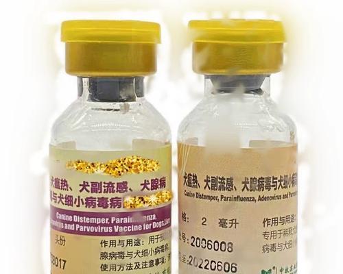 金毛注射育苗的好处及注意事项（保护金毛免受常见疾病侵害，让它们健康成长）
