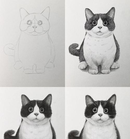 黑白色短毛猫——优雅与可爱并存（探寻黑白短毛猫的品种特征及魅力）