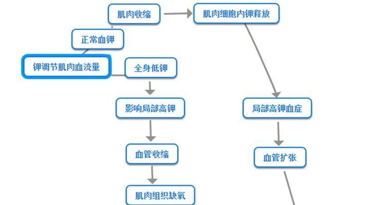 狗肌酸激酶高的原因及影响（揭秘狗肌酸激酶高的危害与解决方法）