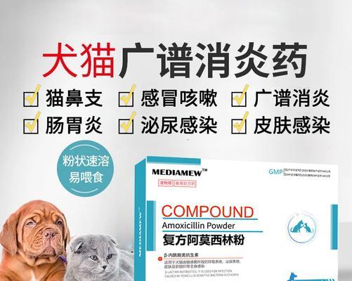 狗狗晚上打喷嚏发烧怎么办？（狗狗打喷嚏发烧的原因及治疗方法）