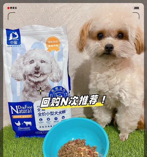 阿拉斯加七个月的饮食探索（从雪原到海洋，一味狩猎与捕食）