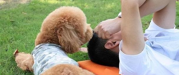 为什么狗狗总喜欢舔我？（探索狗狗舔人行为的原因和意义）
