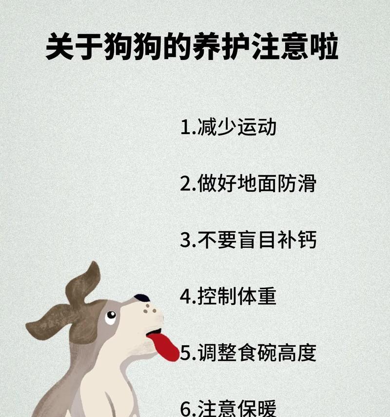 狗狗髌骨脱位为何不能单纯补钙（科学认识狗狗髌骨脱位和补钙的关系）