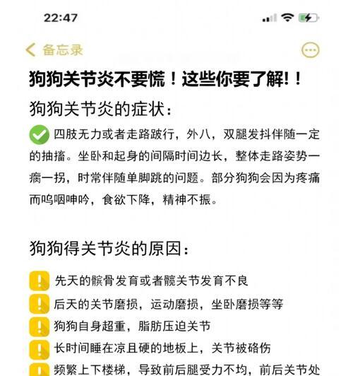 探索狗关节病的液体治疗方案（为您的爱犬选择合适的输液治疗方式）