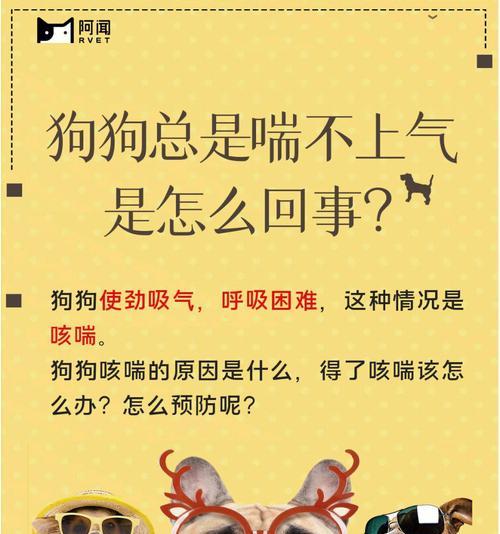 揭秘狗狗老咳的原因及治疗方法（狗狗老咳，病因与治疗一览）