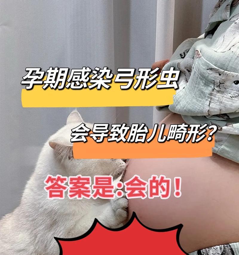 揭开弓形虫感染之谜（弓形虫感染的原因与预防方法探究）