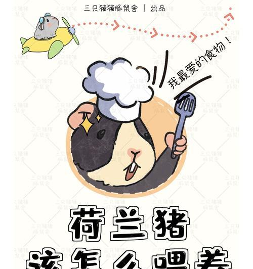 荷兰猪的饮食需求与营养要求（养荷兰猪，从饮食开始）