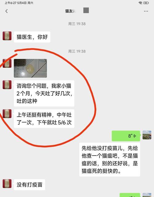 大猫为何频繁呕吐？（揭开背后的原因和解决方法）
