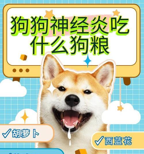 如何选择适合你的狗狗的狗粮（探索狗粮市场，了解你的狗狗所需）