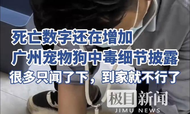 狗狗轻微中毒的症状及处理方法（宠物狗中毒的常见症状和应急处理）