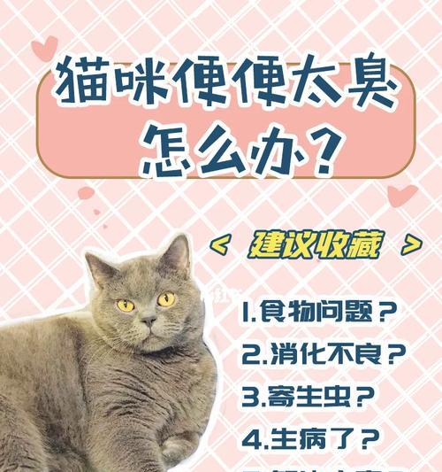 猫咪便秘怎么办？药物治疗的有效方法（探讨猫咪便秘的原因和药物治疗的选择）
