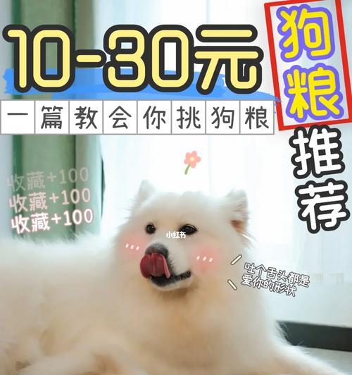 以养狗厂喂狗饭的主题（关于以养狗厂喂狗饭的饲养方法和注意事项）