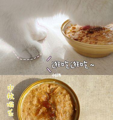 猫喝鸡汤的好处（鸡汤，滋养猫咪健康的不二之选）