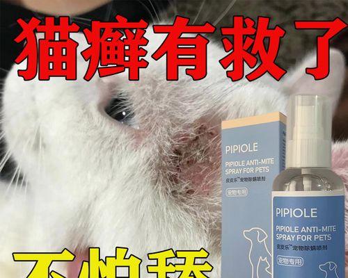 如何选择治疗猫癣的药物（综合考虑疗效、安全性和价格，选择合适的药物）