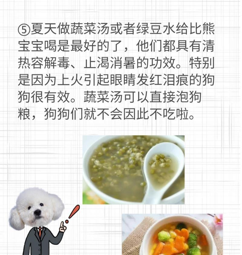 四个半月的比熊吃什么？（了解你的小狗的饮食需求）