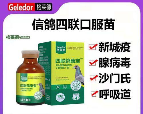 泰迪细小输液常用药物详解（选择合适的药物保护泰迪细小患者）