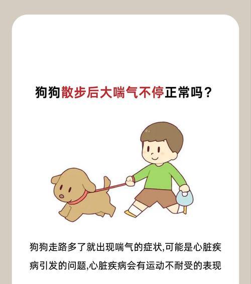 揭秘狗狗呼吸的奥秘（探究狗狗呼吸频率、气味敏感和异常现象）