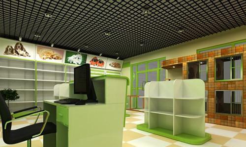 大同城的宠物乐园（探索大同城中的宠物店和爱心商家）