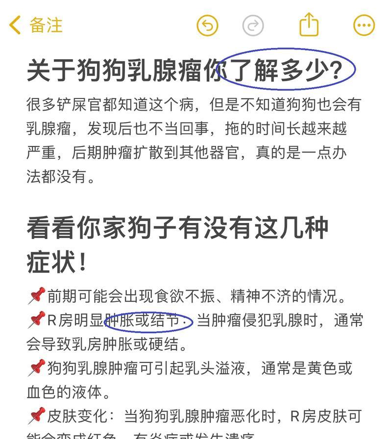 如何判断狗狗得了什么病？（掌握关键方法，及时诊断狗狗健康问题）