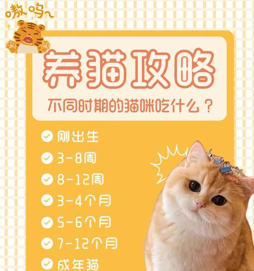 猫的饮食习惯及适宜食物选择（了解猫的饮食需求，让它吃得健康快乐）