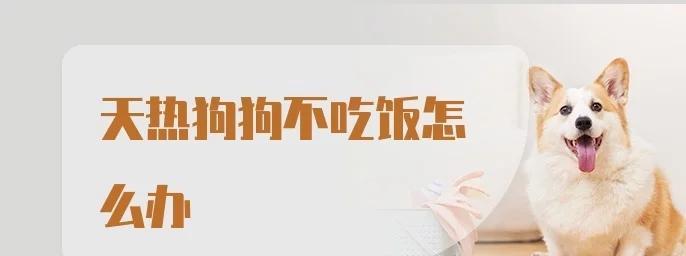 天气热，为什么狗狗不吃东西？（探究天气热对狗狗食欲的影响及解决方法）