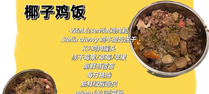 两个星期小狗的饮食安排（合理营养保障小狗健康成长）