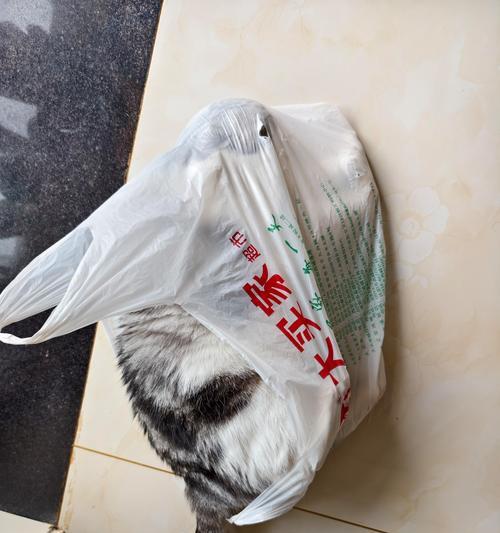 猫咪为何会吃塑料袋？（揭开猫咪吃塑料袋的奥秘）