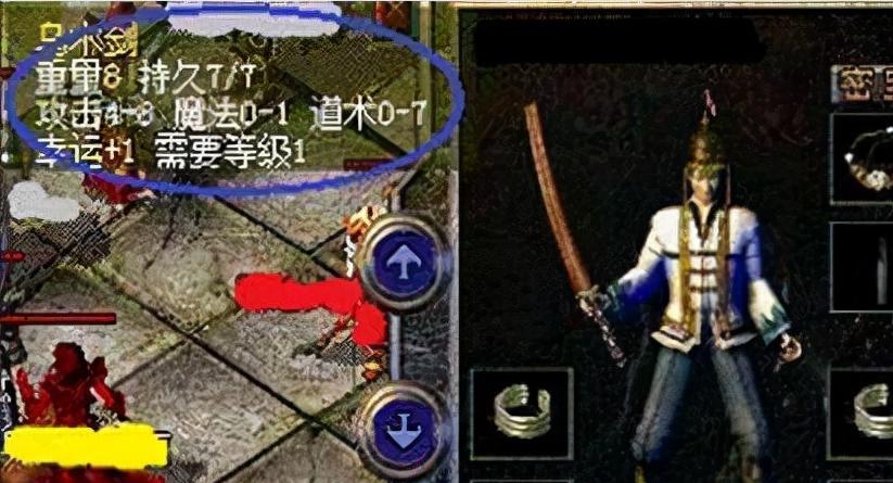 扬州狗场（探索扬州的狗场，领略不一样的犬类世界）