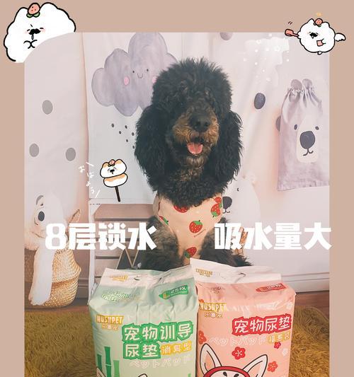 狗狗大小便的时间习惯（狗狗尿尿和便便的规律及训练方法）