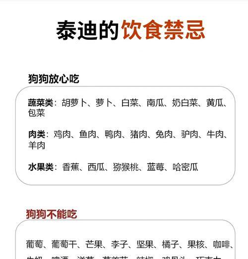 泰迪狗狗的饮食要求与建议（为您的泰迪狗狗选择最佳食物）