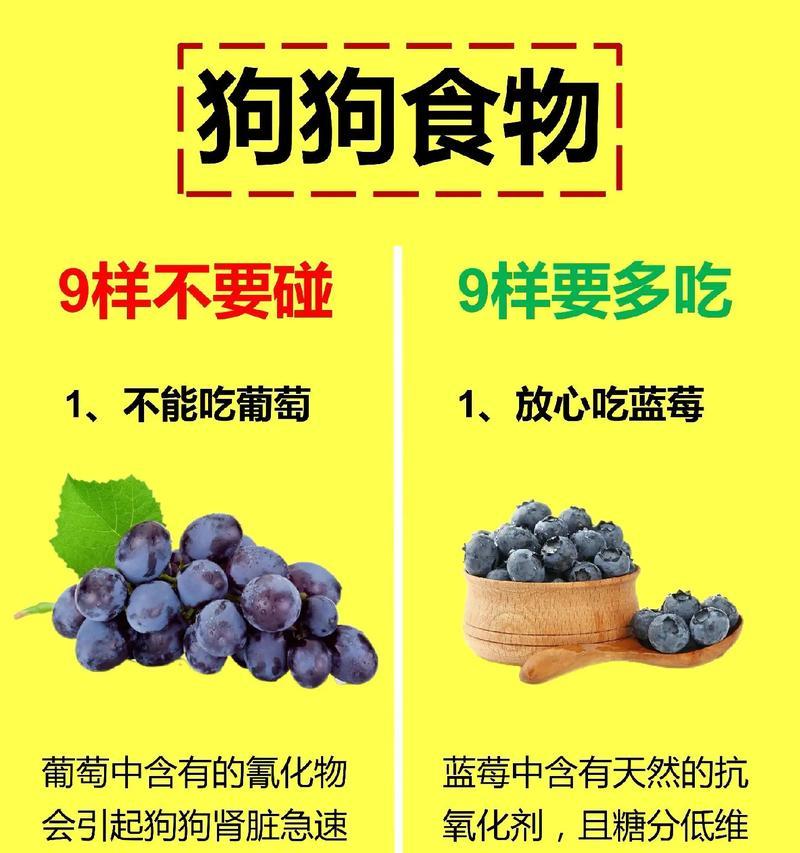 科学喂养狗的饮食需求（探究狗狗饮食规律和营养需求）