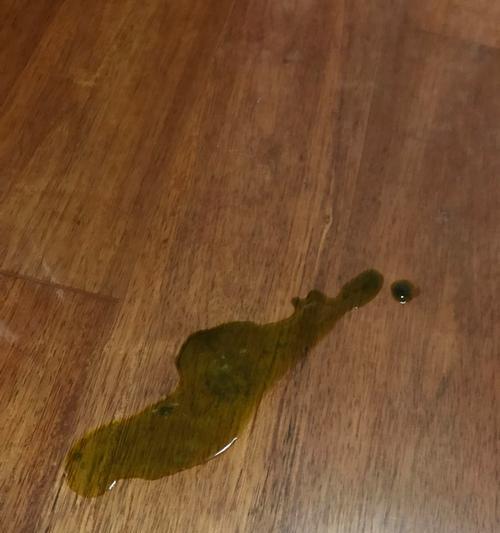 以细小吐咖啡色的原因解析（深入探究细小吐咖啡色的成因及影响）