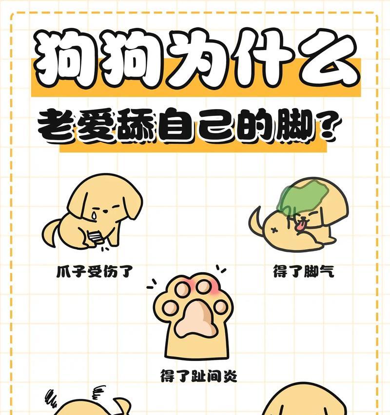 狗为何喜欢抱人的脚？（探究狗狗喜欢抱人脚背后的原因与意义）