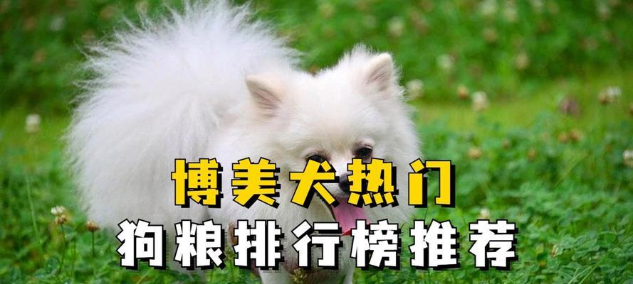 小博美犬的理想狗粮选择（为了宠物的健康，选择合适的狗粮很重要）