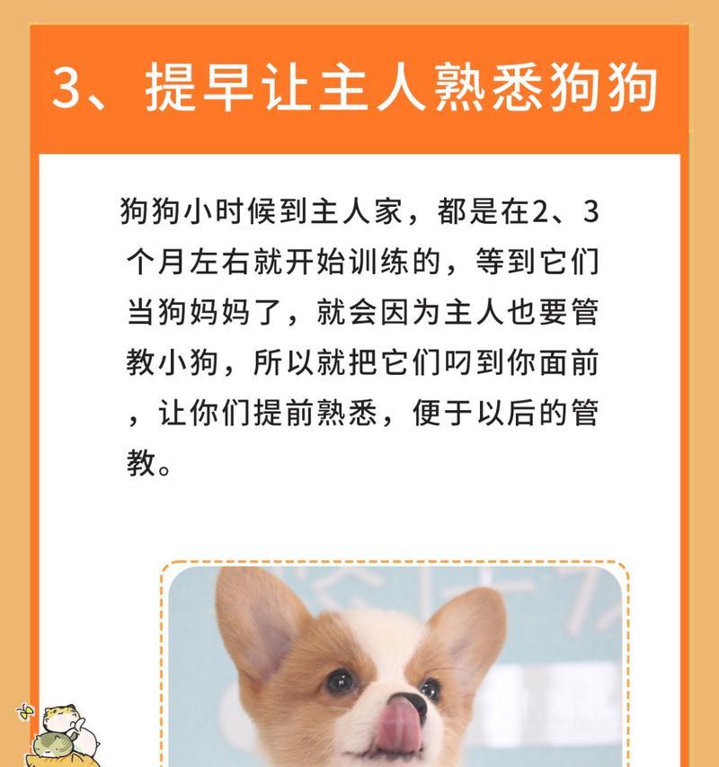 母狗生小狗的准备工作（为宝宝到来做好准备）