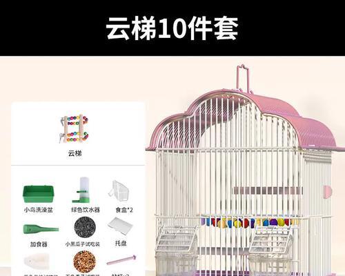 如何选择合适的虎皮鹦鹉笼子（关键因素及相关注意事项）