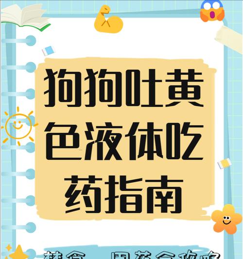 狗狗吃什么东西会导致呕吐？（探究狗狗呕吐的原因和应对方法）