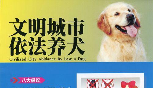 养大型狗的证——培养出理想宠物的关键（大型狗品种选择的关键点和养护经验分享）