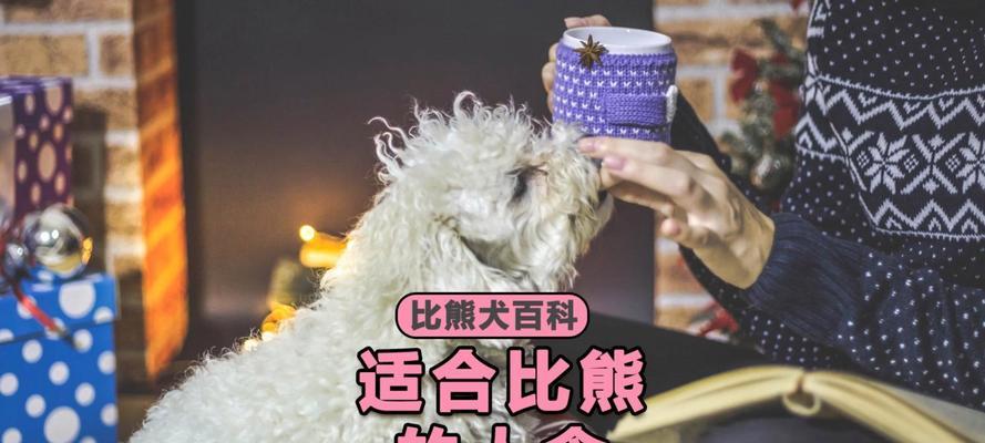 以比熊有黄毛的饮食习惯及营养需求（探索比熊食谱，让你的宠物更健康快乐）
