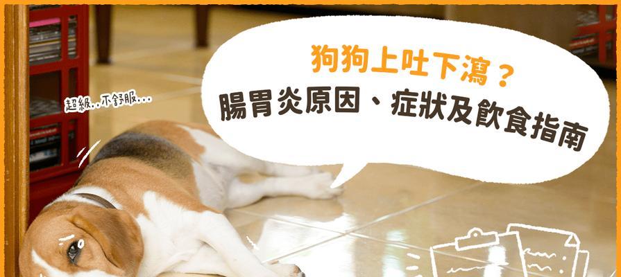 狗肠炎恢复期表现及护理措施（了解狗肠炎的恢复过程，帮助宠物康复健康）
