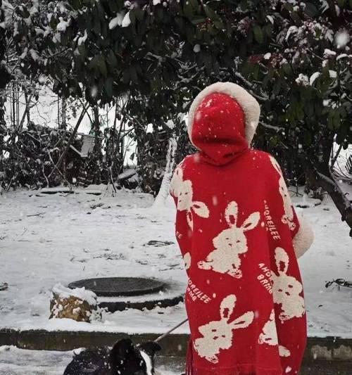 边牧幼犬拉稀吐的原因及解决方法（保持幼犬健康的关键是预防拉稀吐）