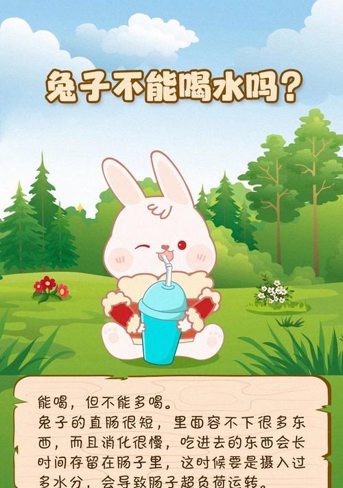 如何科学养兔子（小兔子的饮食和养育方法）